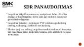Specialiosios skolinimosi teisės (SDR) valiuta 10 puslapis
