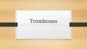 Trombonas – varinis pučiamasis (ambušiūrinis) muzikinis instrumentas