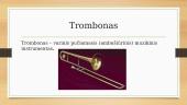Trombonas – varinis pučiamasis (ambušiūrinis) muzikinis instrumentas 2 puslapis