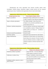 Samprotavimo rašinio kūrimas 2 puslapis