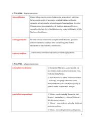 Literatūrinio rašinio kūrimas 3 puslapis