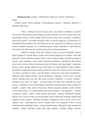 Literatūrinio rašinio kūrimas 4 puslapis