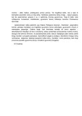 Hamletas–tiesos ieškotojas 2 puslapis