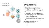 Dantų ligos: kariesas, dantų akmenys 6 puslapis