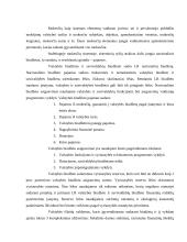 Mokesčių sistema ir nacionalinio biudžeto sudarymas 2 puslapis