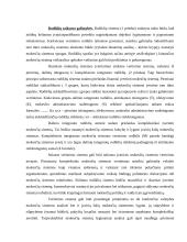 Mokesčių sistema ir nacionalinio biudžeto sudarymas 16 puslapis