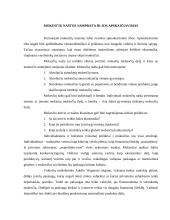 Mokesčių sistema ir nacionalinio biudžeto sudarymas 18 puslapis