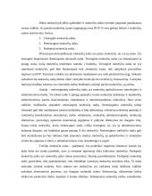 Mokesčių sistema ir nacionalinio biudžeto sudarymas 19 puslapis