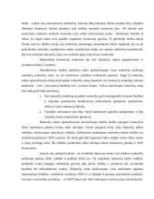 Mokesčių sistema ir nacionalinio biudžeto sudarymas 20 puslapis