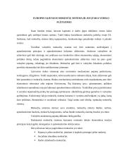 Mokesčių sistema ir nacionalinio biudžeto sudarymas 6 puslapis