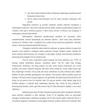 Mokesčių sistema ir nacionalinio biudžeto sudarymas 8 puslapis