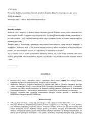 Dosjė apie Žemaitę 4 puslapis