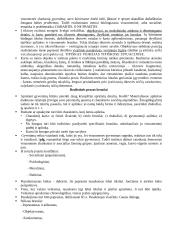 Dosjė apie Žemaitę 5 puslapis