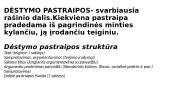 Pasiruošimas rašiniui (9 klasė) 11 puslapis