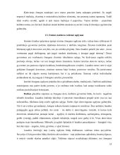 Etninės kultūros ugdymas Kelmės rajono bendrojo lavinimo mokyklose   13 puslapis