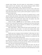 Etninės kultūros ugdymas Kelmės rajono bendrojo lavinimo mokyklose   15 puslapis