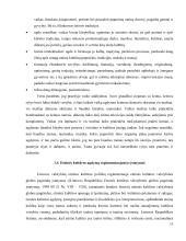 Etninės kultūros ugdymas Kelmės rajono bendrojo lavinimo mokyklose   17 puslapis