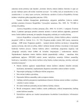 Etninės kultūros ugdymas Kelmės rajono bendrojo lavinimo mokyklose   19 puslapis