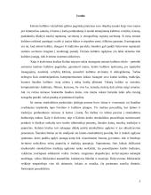 Etninės kultūros ugdymas Kelmės rajono bendrojo lavinimo mokyklose   5 puslapis