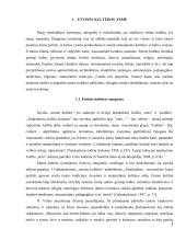 Etninės kultūros ugdymas Kelmės rajono bendrojo lavinimo mokyklose   8 puslapis