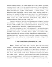 Etninės kultūros ugdymas Kelmės rajono bendrojo lavinimo mokyklose   9 puslapis