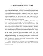 Duonos kainų statistinė analizė 4 puslapis