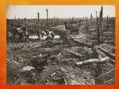 Michael Morpurgo „Karo žirgas“ 15 puslapis