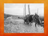 Michael Morpurgo „Karo žirgas“ 17 puslapis