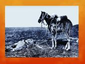 Michael Morpurgo „Karo žirgas“ 18 puslapis