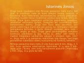 Michael Morpurgo „Karo žirgas“ 20 puslapis