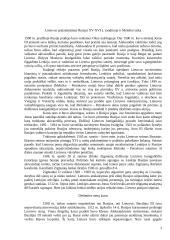 XVI amžiaus Lietuvos Didžiosios Kunigaikštystės (LDK) užsienio politika 3 puslapis