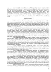 XVI amžiaus Lietuvos Didžiosios Kunigaikštystės (LDK) užsienio politika 6 puslapis