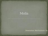 Molis (skaidrės)