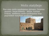 Molis (skaidrės) 3 puslapis