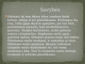 Molis (skaidrės) 4 puslapis