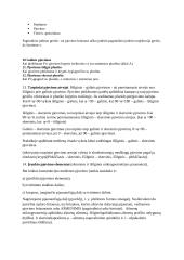 Medienos pjovimas kospektas 2 puslapis