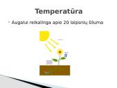 Sėklų dygimo sąlygos 3 puslapis