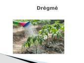 Sėklų dygimo sąlygos 4 puslapis