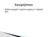 Sėklų dygimo sąlygos 5 puslapis