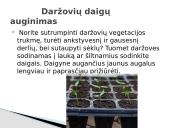 Sėklų dygimo sąlygos 6 puslapis