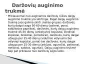 Sėklų dygimo sąlygos 7 puslapis