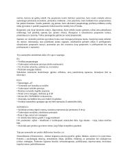 Asmenybės samprata (referatas) 4 puslapis