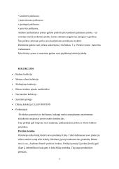 Bendrovės ,,Audimas” rinkodaros veiklos efektyvumo įvertinimas 12 puslapis