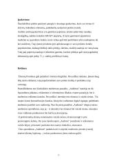 Bendrovės ,,Audimas” rinkodaros veiklos efektyvumo įvertinimas 13 puslapis