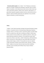 Bendrovės ,,Audimas” rinkodaros veiklos efektyvumo įvertinimas 14 puslapis