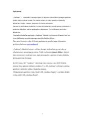 Bendrovės ,,Audimas” rinkodaros veiklos efektyvumo įvertinimas 3 puslapis