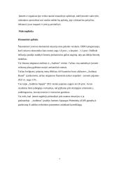 Bendrovės ,,Audimas” rinkodaros veiklos efektyvumo įvertinimas 4 puslapis