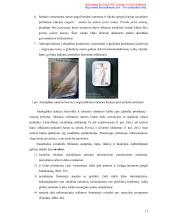 Lietuviškos socialinės reklamos pragmatika ir stilistika  10 puslapis