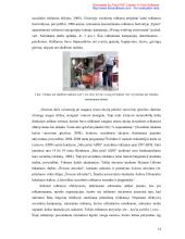 Lietuviškos socialinės reklamos pragmatika ir stilistika  13 puslapis