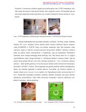 Lietuviškos socialinės reklamos pragmatika ir stilistika  18 puslapis